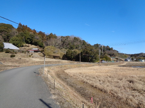 DSC02435