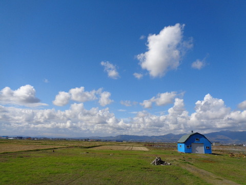 DSC03679