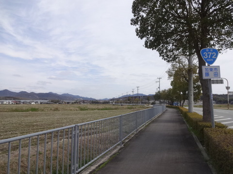 DSC04511