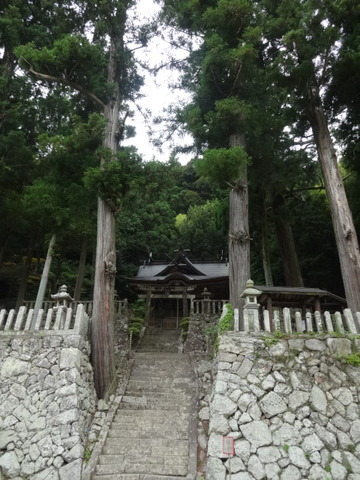 DSC08990