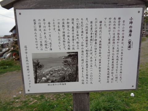 DSC08270
