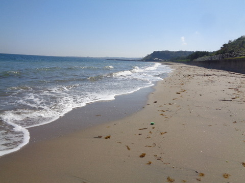 DSC09916