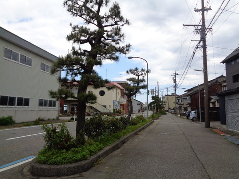 DSC05783