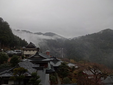 DSC03084