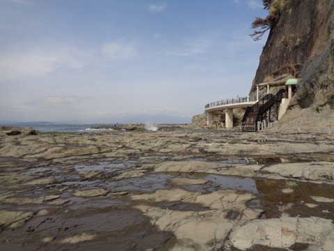 DSC08000