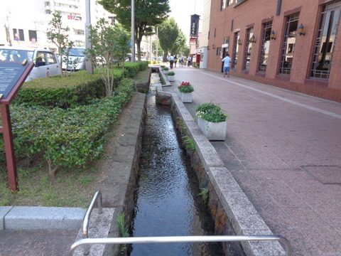 DSC09040