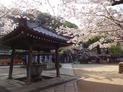 DSC04700