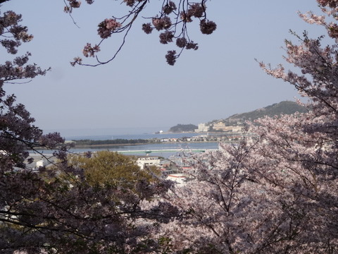 DSC04699