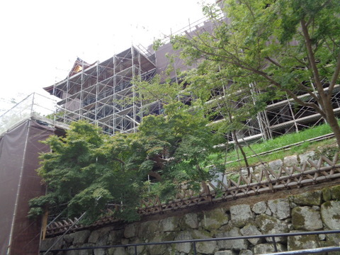 DSC01255