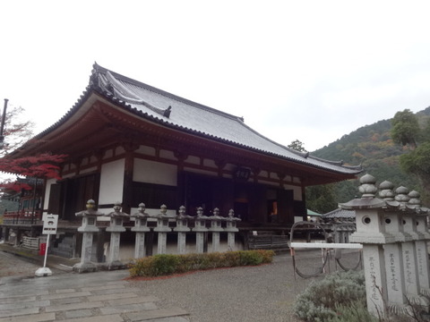 DSC01429