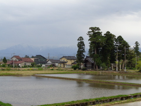 DSC05122