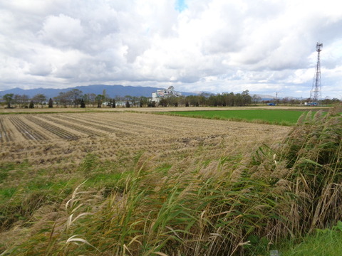 DSC03690