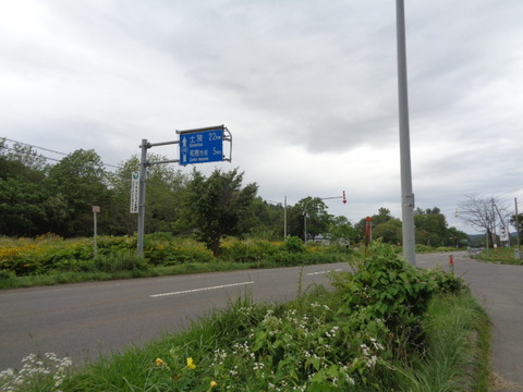 DSC03983