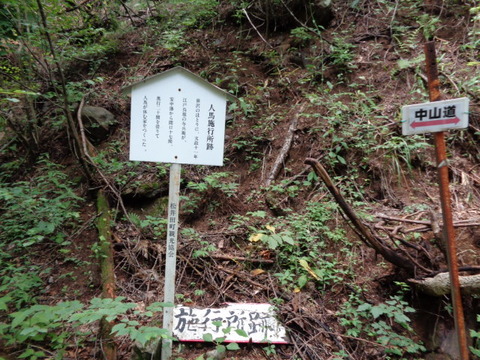 DSC09339