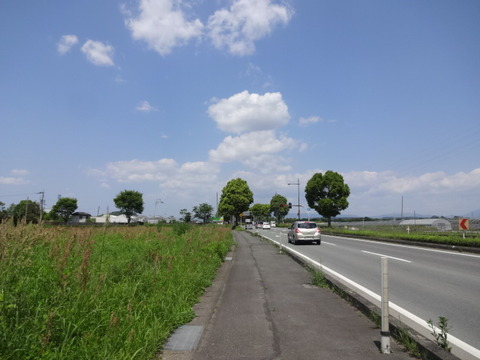 DSC04970