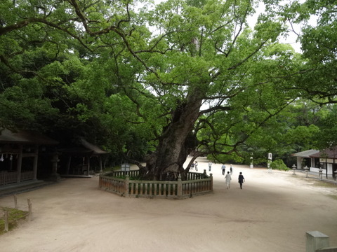 DSC07320