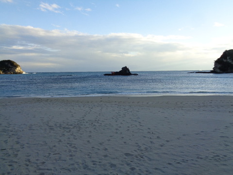 DSC01976