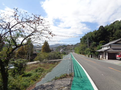 DSC00415