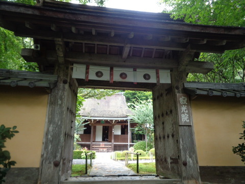 DSC01530