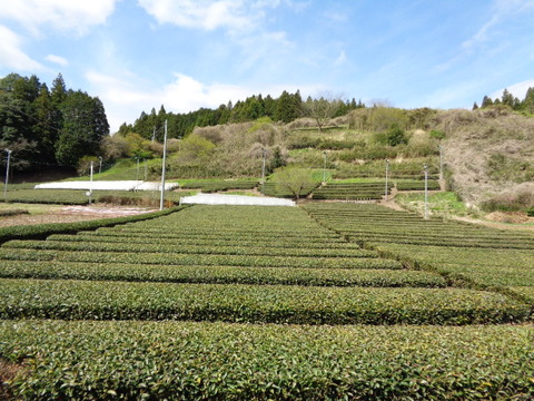 DSC09876