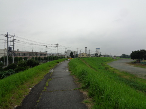 DSC03883