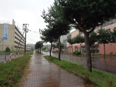 DSC04091