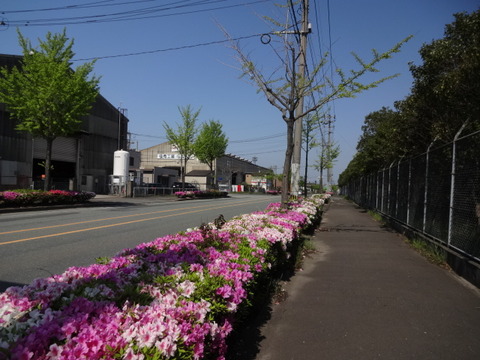 DSC05056