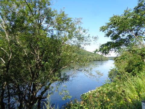 DSC04377