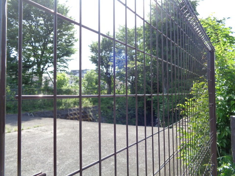 DSC00361