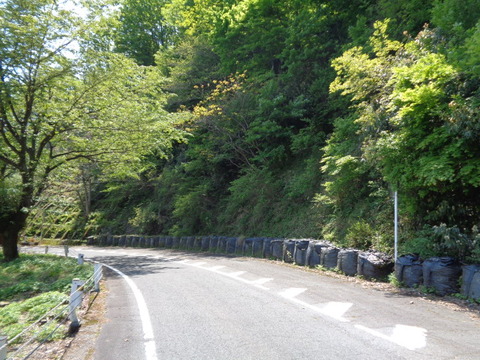 DSC03039