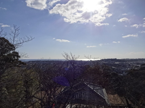 DSC03291