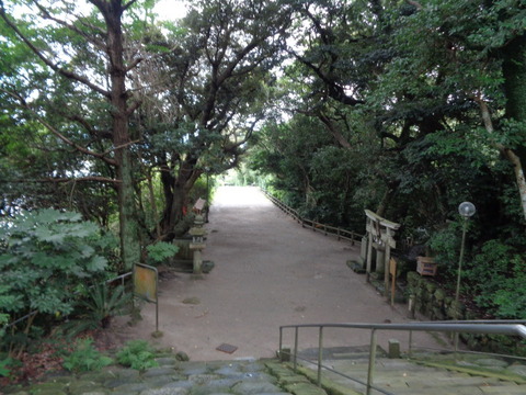 DSC00570
