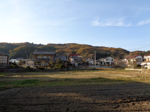 DSC04565