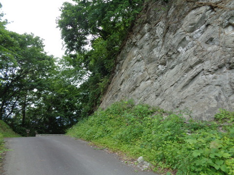 DSC03209