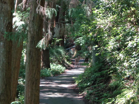 DSC02626