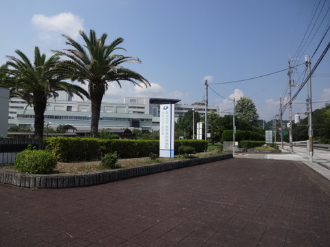 DSC07662