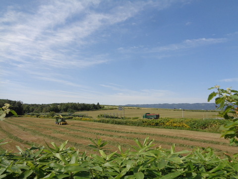 DSC04416