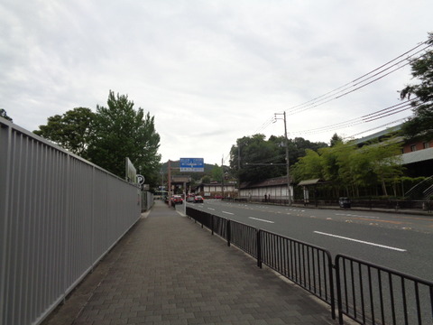 DSC01196