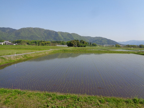 DSC03325