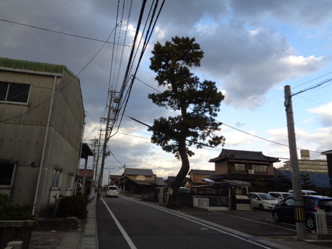 DSC07101