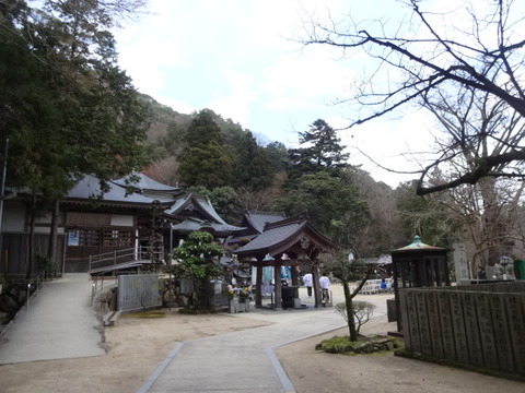 DSC04321