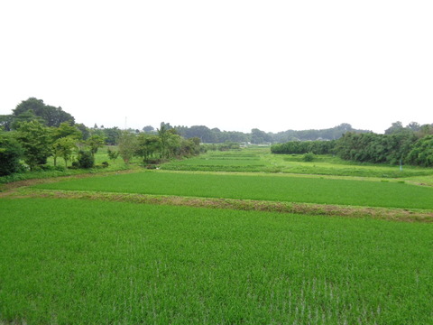 DSC03988