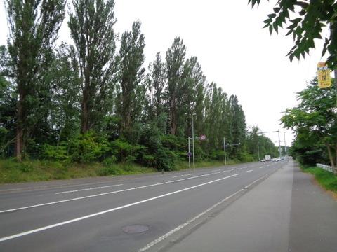 DSC04802