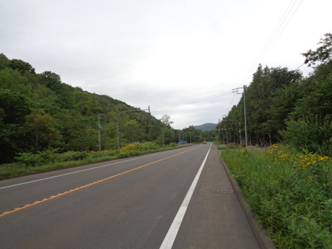 DSC03982