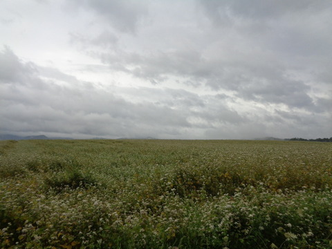 DSC04711