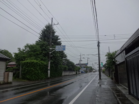 DSC08365