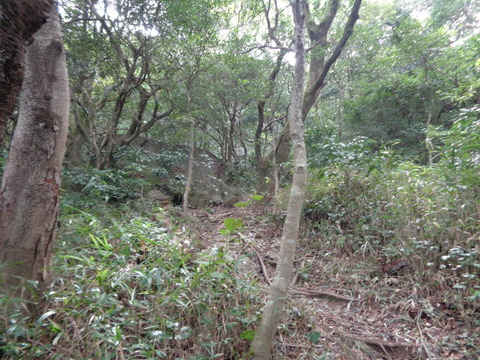 DSC02213