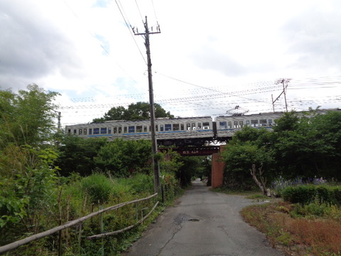 DSC02519