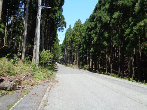DSC03397