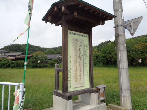 DSC02248